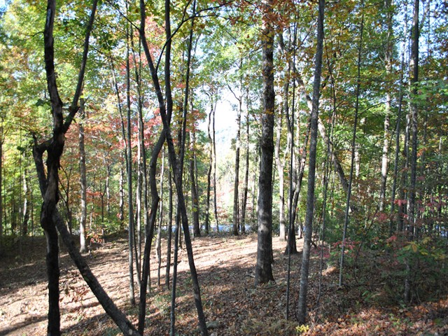 Image of Village Club Trail, Lot V-20